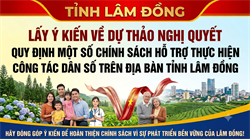 V/v truyền thông và góp ý dự thảo chính sách Nghị quyết quy định một số chính sách hỗ trợ thực hiện công tác dân số trên địa bàn tỉnh Lâm Đồng 
