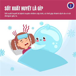 Chủ động phòng chống bệnh sốt xuất huyết
