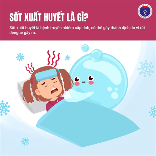 Chủ động phòng chống bệnh sốt xuất huyết