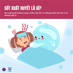 CHỦ ĐỘNG PHÒNG CHỐNG BỆNH SỐT XUẤT HUYẾT